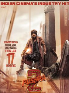 Pushpa 2 Reloaded Filmy4WEB 2025 Hindi Dubbed